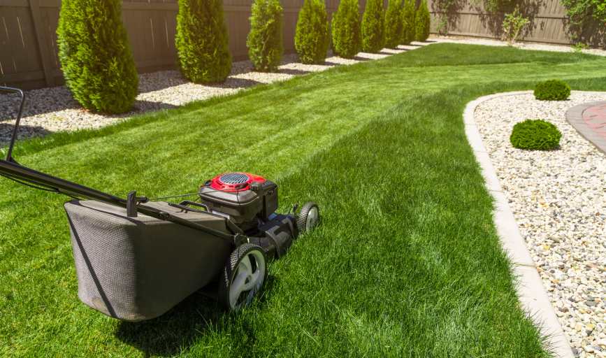 LAWN MOWING