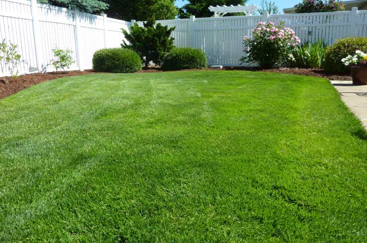 Leos Lawn Care